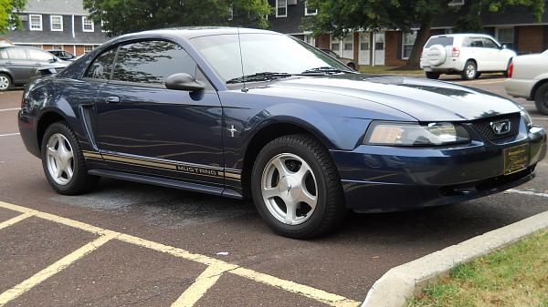 1994-2004 MUSTANG SN-95 Member Pics, Show off your Sixxer-mustang-008.jpg