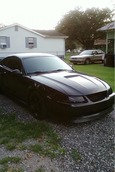 1994-2004 MUSTANG SN-95 Member Pics, Show off your Sixxer-image-1579840319.jpg