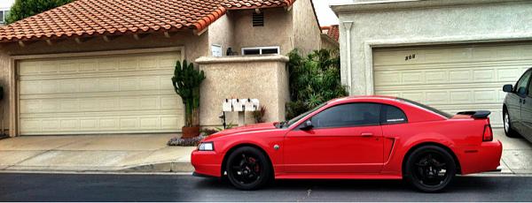 1994-2004 MUSTANG SN-95 Member Pics, Show off your Sixxer-image-3603540262.jpg