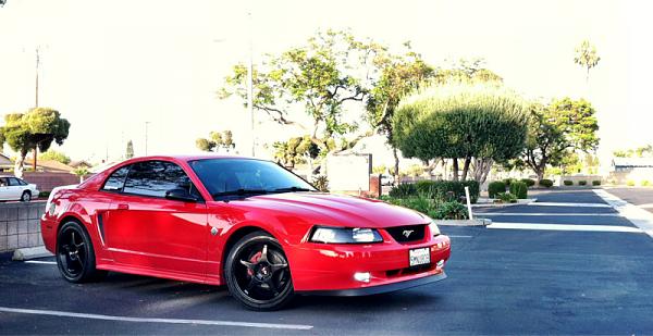 1994-2004 MUSTANG SN-95 Member Pics, Show off your Sixxer-image-3441314547.jpg