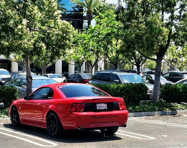 1994-2004 MUSTANG SN-95 Member Pics, Show off your Sixxer-image-3427274551.jpg