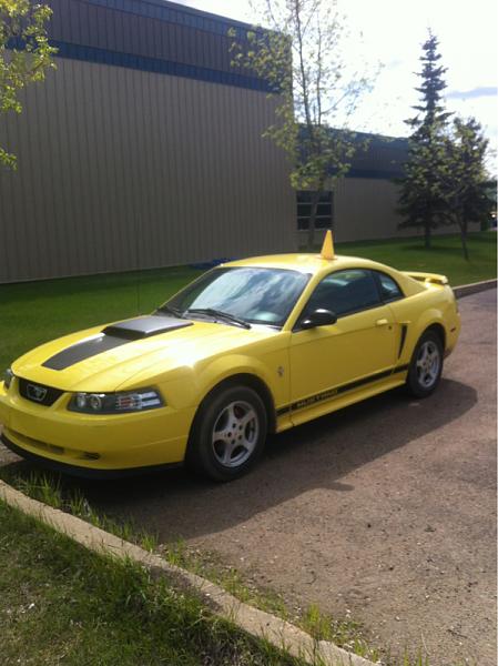 1994-2004 MUSTANG SN-95 Member Pics, Show off your Sixxer-image-4188885705.jpg