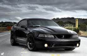 Name:  image-998228851.jpg
Views: 229
Size:  31.8 KB