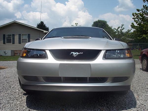 New Lenses-mustang1-037.jpg