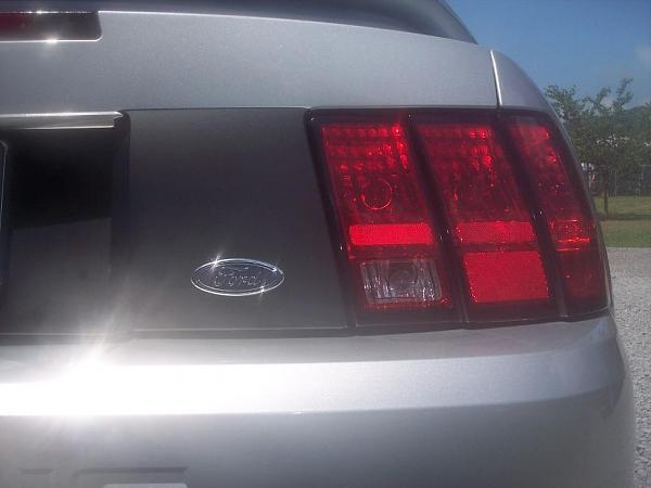 My 99 Stang!-mustang1-041.jpg