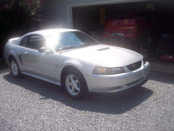 My 99 Stang!-mustang1-040.jpg