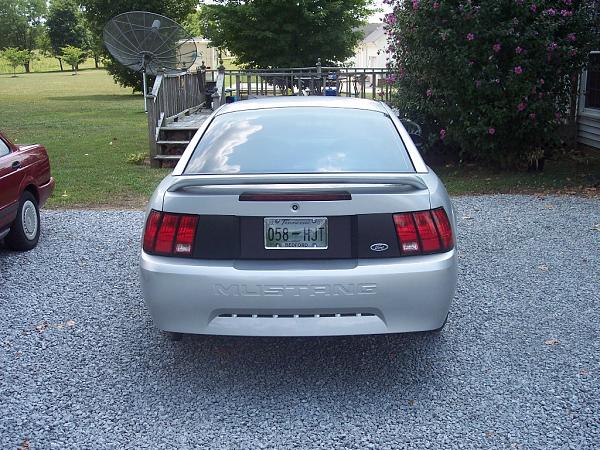 My 99 Stang!-mustang1-038.jpg