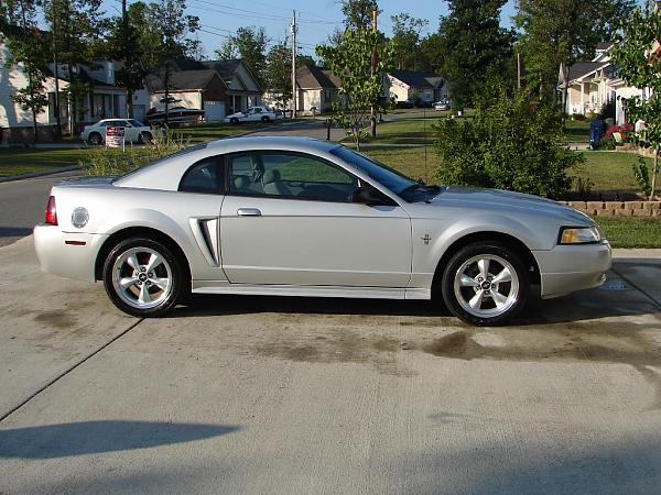 New Mustang!-02158w.jpg