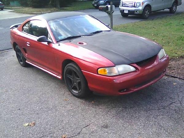 I Guess I Should Post Some Pics-61123_439130204627_748594627_4919473_3172396_n.jpg