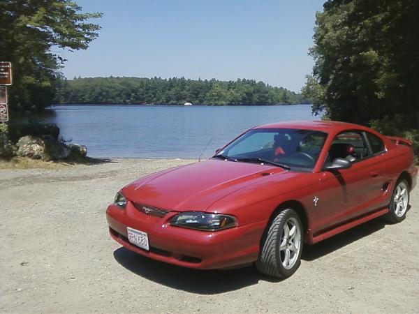 I Guess I Should Post Some Pics-005.jpg