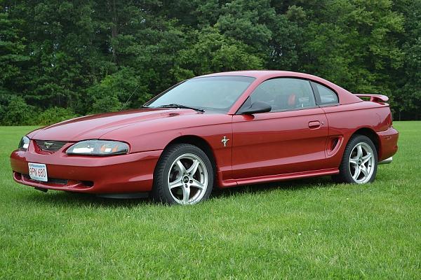 I Guess I Should Post Some Pics-dsc_0004.jpg