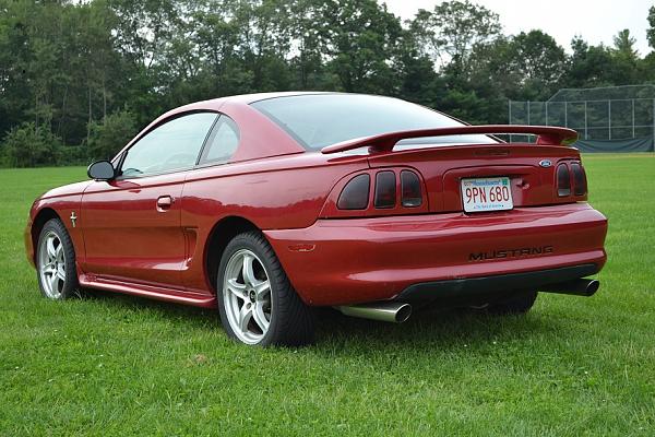 I Guess I Should Post Some Pics-dsc_0023.2.jpg