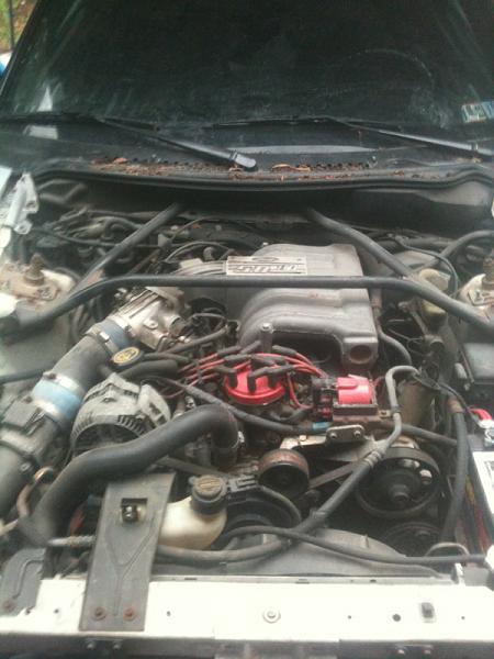 Estimated Horsepower?-image-607650168.jpg