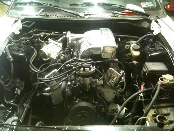 Estimated Horsepower?-image-1257551895.jpg