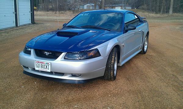 More power on the way-mustang.jpg