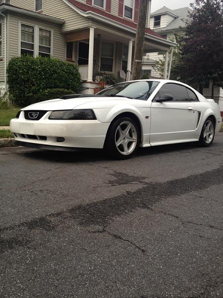 Cleaned the GT Yesterday-image-274435653.jpg