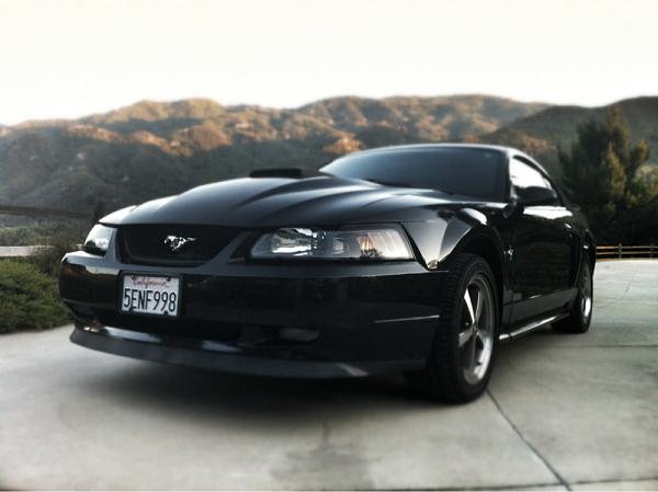 2003 Mach 1- Add a 03 Cobra Front?-image-3512979156.jpg