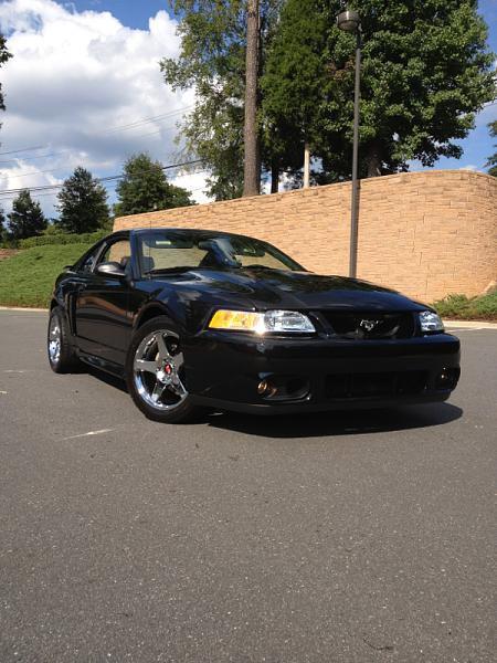 Cobra Front Bumper Cover ?s-image-1805358175.jpg