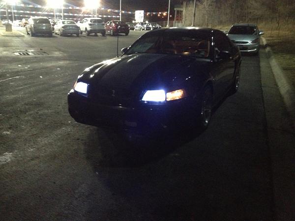 Got to play with a cobra-image-3688612170.jpg