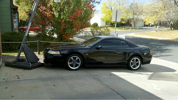 1994-2004 MUSTANG, POST MEMBER PICS OF SN-95 V8'S-image-3004086139.jpg