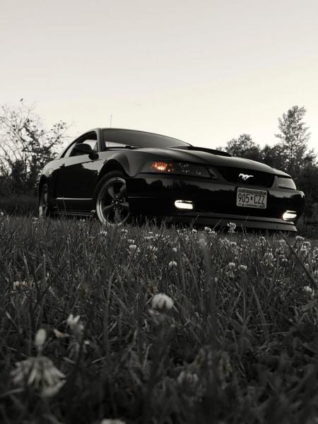 1994-2004 MUSTANG, POST MEMBER PICS OF SN-95 V8'S-248129_455733174455030_195680182_n.jpg