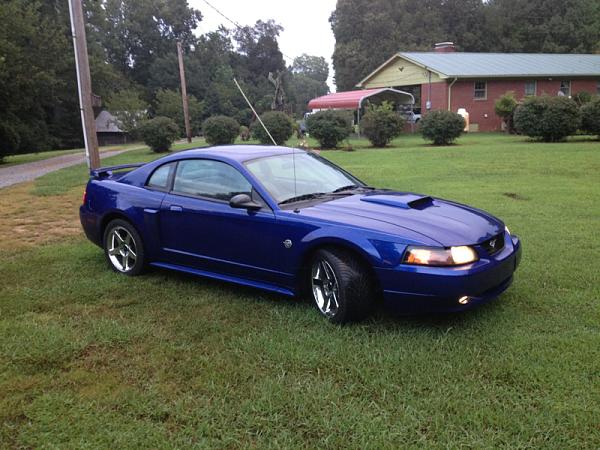 1994-2004 MUSTANG, POST MEMBER PICS OF SN-95 V8'S-image-1449078267.jpg