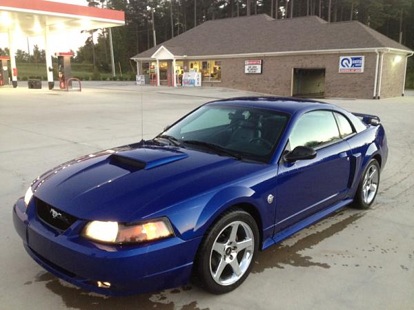 1994-2004 MUSTANG, POST MEMBER PICS OF SN-95 V8'S-image-1316966992.jpg