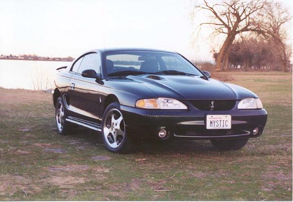 1994-2004 MUSTANG, POST MEMBER PICS OF SN-95 V8'S-mysticcobra-park.jpg