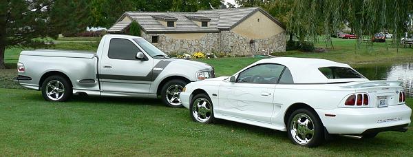 1994-2004 MUSTANG, POST MEMBER PICS OF SN-95 V8'S-l-stang-crop.jpg