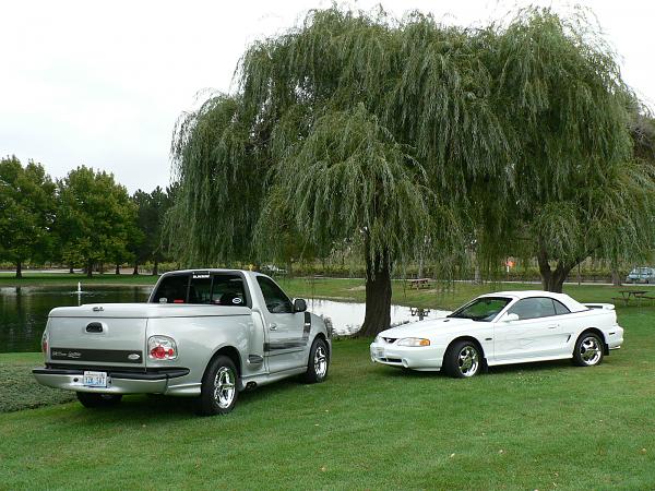 1994-2004 MUSTANG, POST MEMBER PICS OF SN-95 V8'S-l-stang-back.jpg