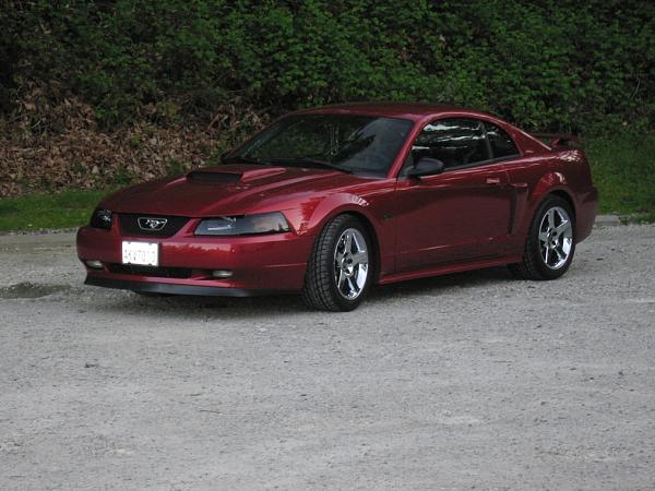 What color stripes should I get?-img_0039-up3.jpg