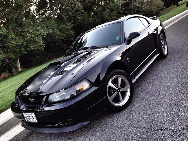 1994-2004 MUSTANG, POST MEMBER PICS OF SN-95 V8'S-image-3669082478.jpg