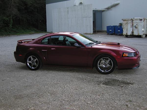 1994-2004 MUSTANG, POST MEMBER PICS OF SN-95 V8'S-img_0022-up-9.jpg