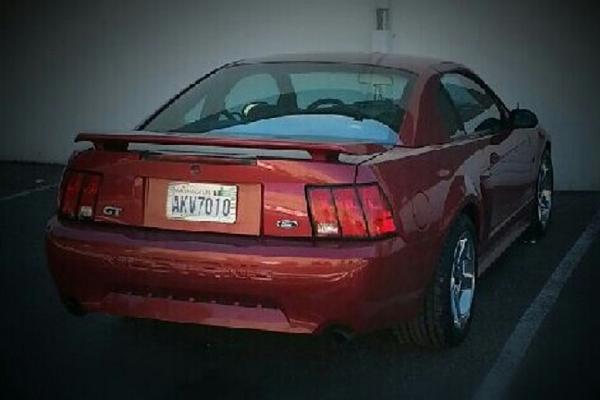 1994-2004 MUSTANG, POST MEMBER PICS OF SN-95 V8'S-funky-mustang.jpg