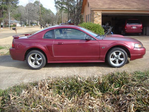 1994-2004 MUSTANG, POST MEMBER PICS OF SN-95 V8'S-image-497877558.jpg