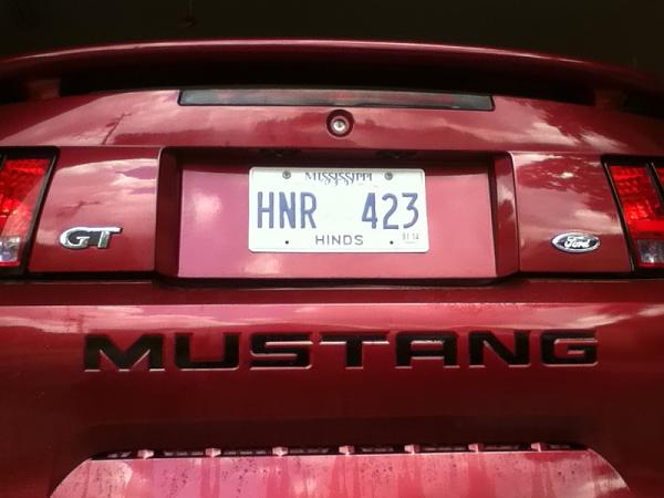 1994-2004 MUSTANG, POST MEMBER PICS OF SN-95 V8'S-image-3168587069.jpg