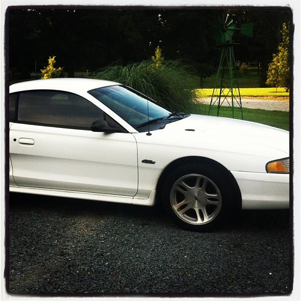 1994-2004 MUSTANG, POST MEMBER PICS OF SN-95 V8'S-image-2497658697.jpg