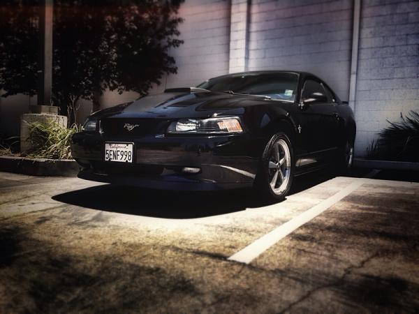 1994-2004 MUSTANG, POST MEMBER PICS OF SN-95 V8'S-image-1364126189.jpg