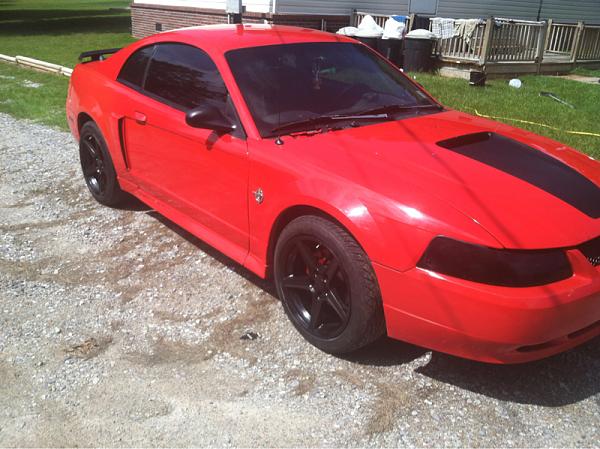 1994-2004 MUSTANG, POST MEMBER PICS OF SN-95 V8'S-image-1145770051.jpg