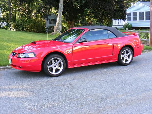 1994-2004 MUSTANG, POST MEMBER PICS OF SN-95 V8'S-redvert3.jpg
