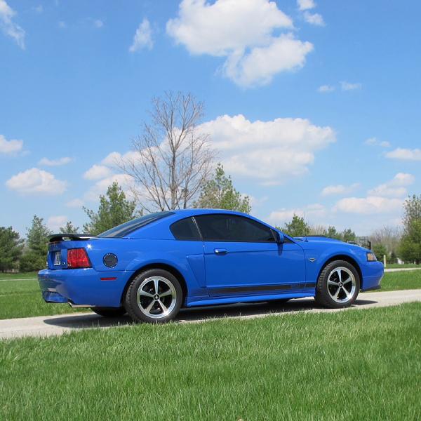 1994-2004 MUSTANG, POST MEMBER PICS OF SN-95 V8'S-image-3190470332.jpg