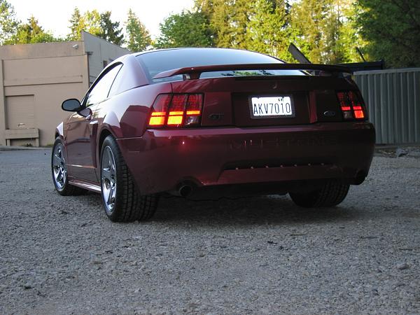 1994-2004 MUSTANG, POST MEMBER PICS OF SN-95 V8'S-03-mustang-1.jpg