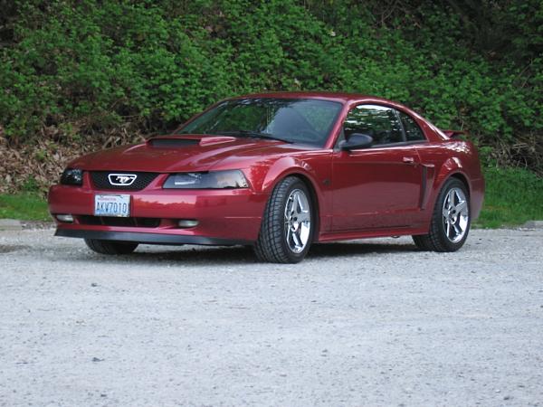 1994-2004 MUSTANG, POST MEMBER PICS OF SN-95 V8'S-03-mustang-4.jpg