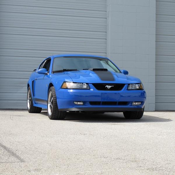 1994-2004 MUSTANG, POST MEMBER PICS OF SN-95 V8'S-image-2063038000.jpg