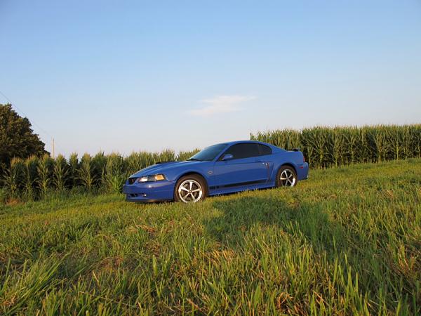 1994-2004 MUSTANG, POST MEMBER PICS OF SN-95 V8'S-image-1206386707.jpg