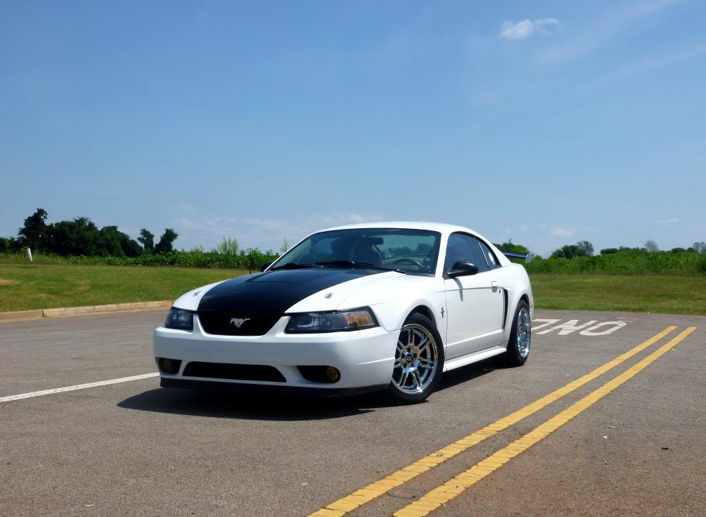 Name:  Mustang1_zpsa34a8ce9.jpg
Views: 231
Size:  76.9 KB