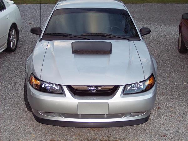Mach 1 Spoiler or No Mach 1 Spoiler-mustang1-047.jpg