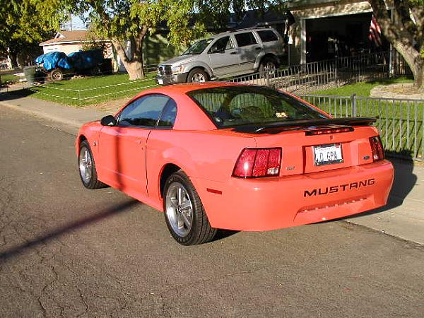 Mach 1 Spoiler or No Mach 1 Spoiler-p1010058.jpg