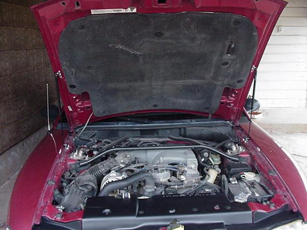 X-Mas present...-hood-shocks.fr.jpg