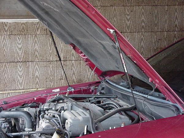 X-Mas present...-hood-shocks.side.jpg